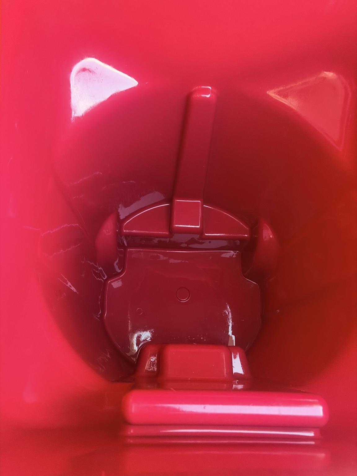 Clean red trash bin after cleaning